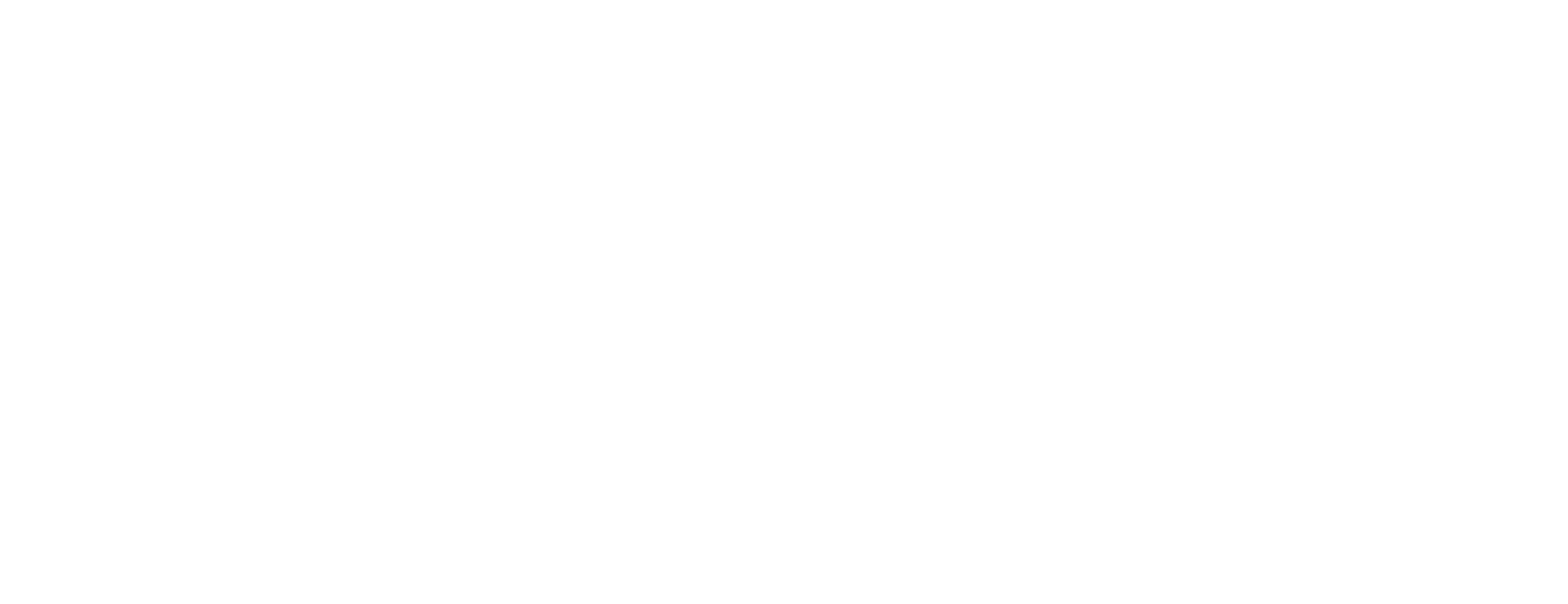 19J3103E_ALLaccorLogo_WHITE